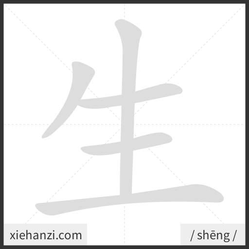 Ảnh động thứ tự nét chữ 生 - cách viết từng nét