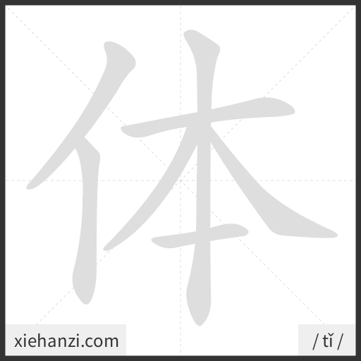 Ảnh động thứ tự nét chữ 体 - cách viết từng nét