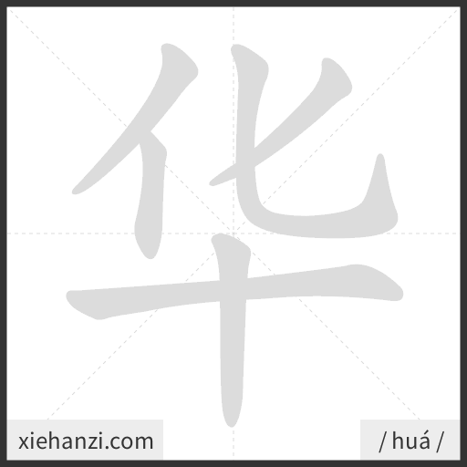 Ảnh động thứ tự nét chữ 华 - cách viết từng nét