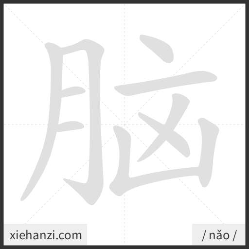 Ảnh động thứ tự nét chữ 脑 - cách viết từng nét