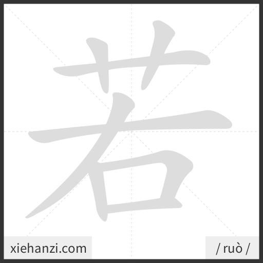 Ảnh động thứ tự nét chữ 若 - cách viết từng nét