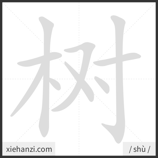 Ảnh động thứ tự nét chữ 树 - cách viết từng nét