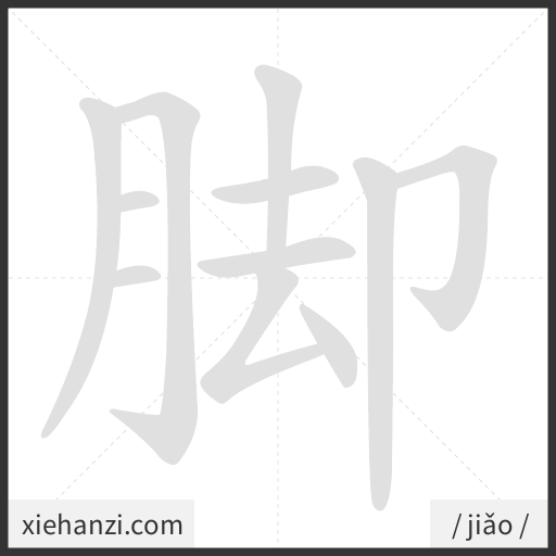 Ảnh động thứ tự nét chữ 脚 - cách viết từng nét