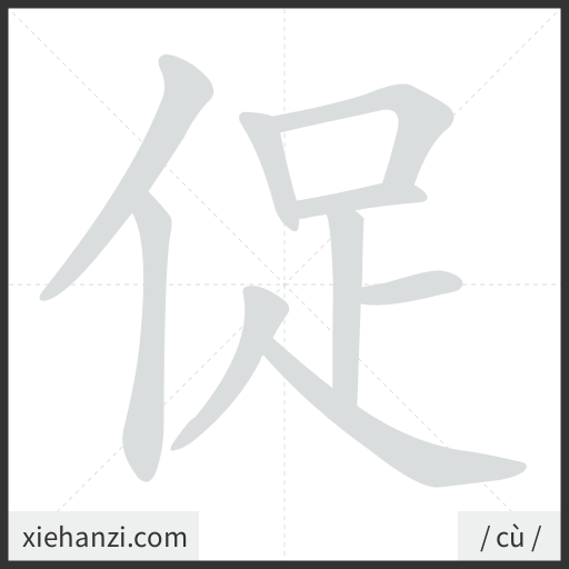 Ảnh động thứ tự nét chữ 促 - cách viết từng nét