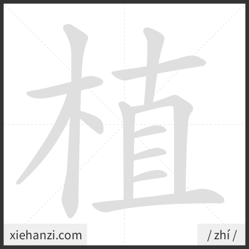 Ảnh động thứ tự nét chữ 植 - cách viết từng nét