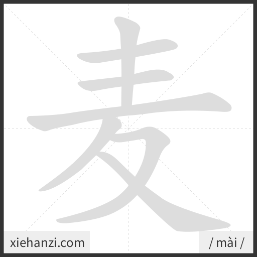 Ảnh động thứ tự nét chữ 麦 - cách viết từng nét