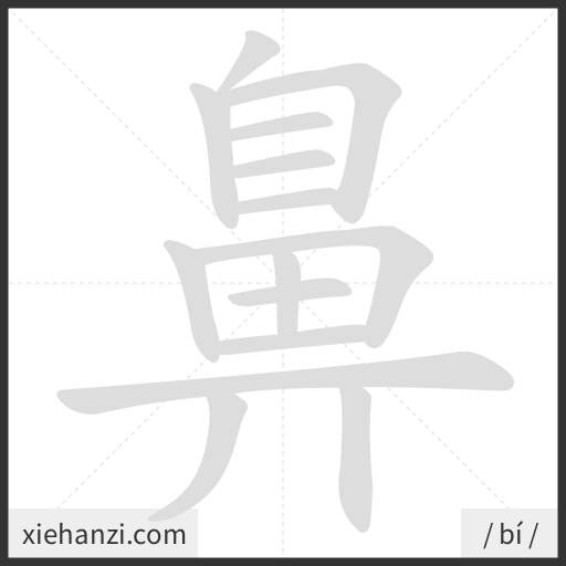 Ảnh động thứ tự nét chữ 鼻 — cách viết từng nét