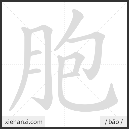 Ảnh động thứ tự nét chữ 胞 - cách viết từng nét
