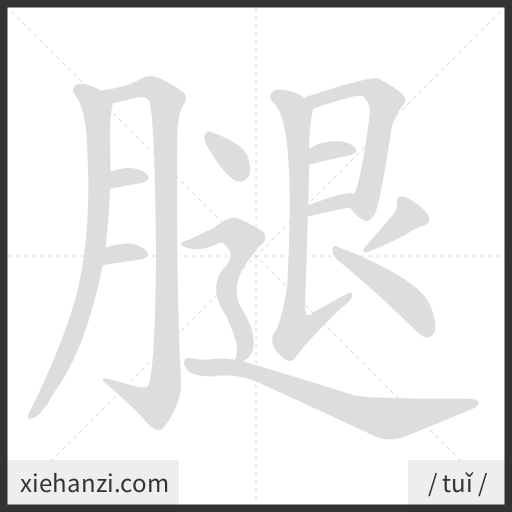 Ảnh động thứ tự nét chữ 腿 - cách viết từng nét