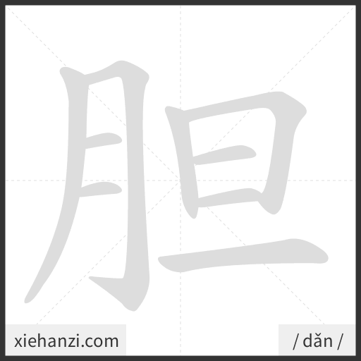Ảnh động thứ tự nét chữ 胆 - cách viết từng nét