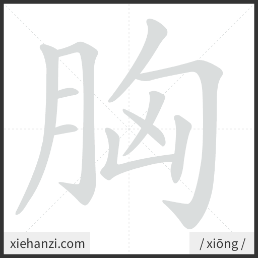 Ảnh động thứ tự nét chữ 胸 - cách viết từng nét