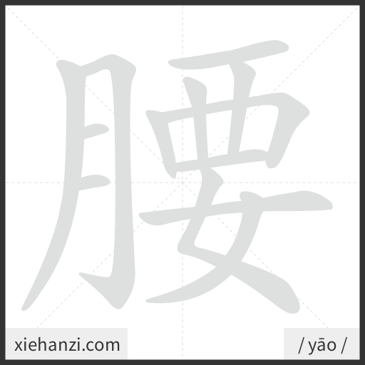 Ảnh động thứ tự nét chữ 腰 - cách viết từng nét