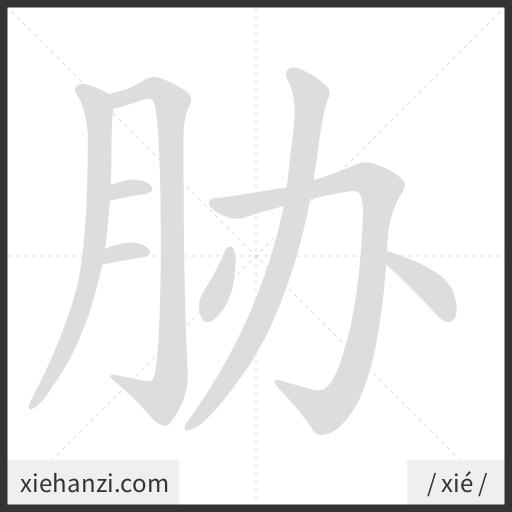 Ảnh động thứ tự nét chữ 胁 - cách viết từng nét