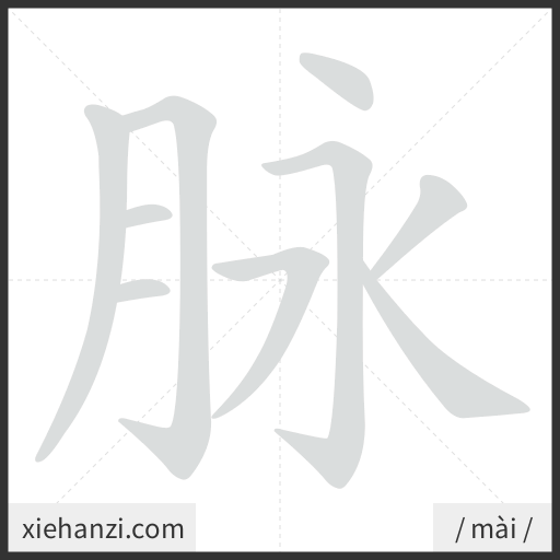 Ảnh động thứ tự nét chữ 脉 - cách viết từng nét