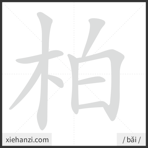 Ảnh động thứ tự nét chữ 柏 - cách viết từng nét