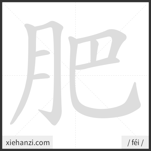 Ảnh động thứ tự nét chữ 肥 - cách viết từng nét