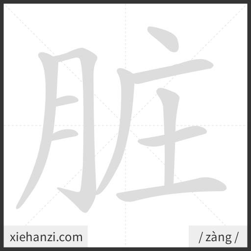 Ảnh động thứ tự nét chữ 脏 - cách viết từng nét
