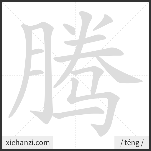 Ảnh động thứ tự nét chữ 腾 — cách viết từng nét