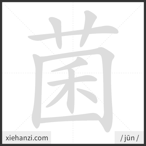 Ảnh động thứ tự nét chữ 菌 - cách viết từng nét