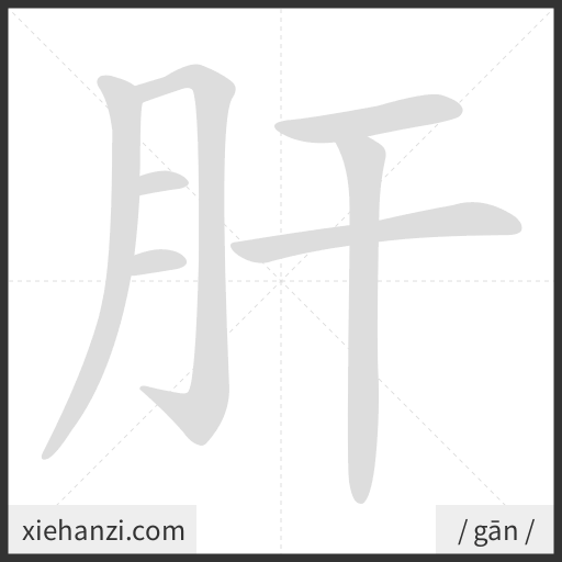 Ảnh động thứ tự nét chữ 肝 - cách viết từng nét