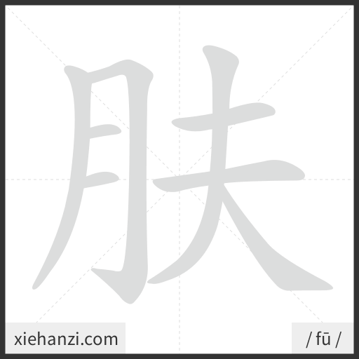 Ảnh động thứ tự nét chữ 肤 - cách viết từng nét