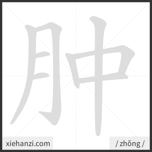 Ảnh động thứ tự nét chữ 肿 - cách viết từng nét