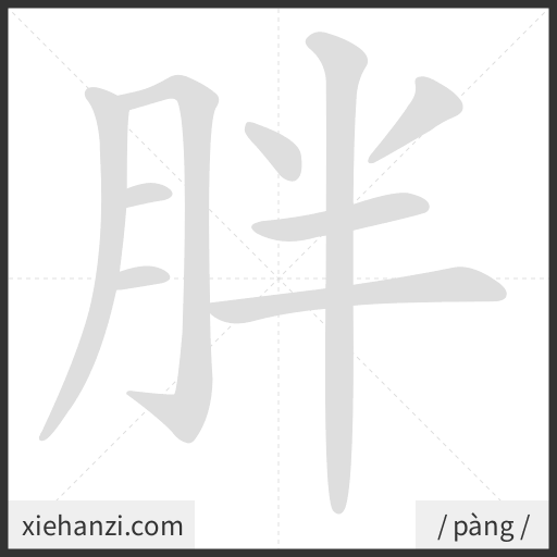 Ảnh động thứ tự nét chữ 胖 - cách viết từng nét