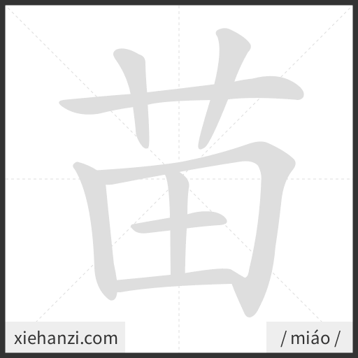 Ảnh động thứ tự nét chữ 苗 - cách viết từng nét