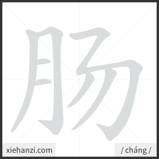 Ảnh động thứ tự nét chữ 肠 - cách viết từng nét