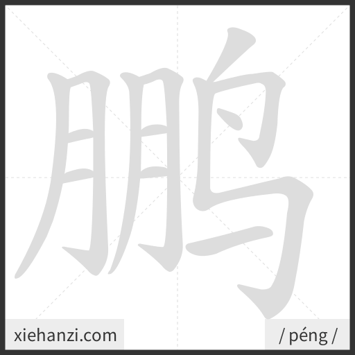 Ảnh động thứ tự nét chữ 鹏 - cách viết từng nét