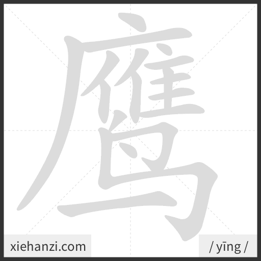 Ảnh động thứ tự nét chữ 鹰 - cách viết từng nét