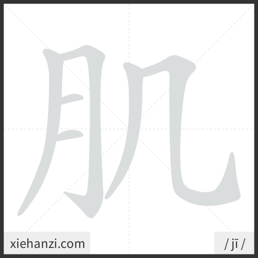 Ảnh động thứ tự nét chữ 肌 - cách viết từng nét