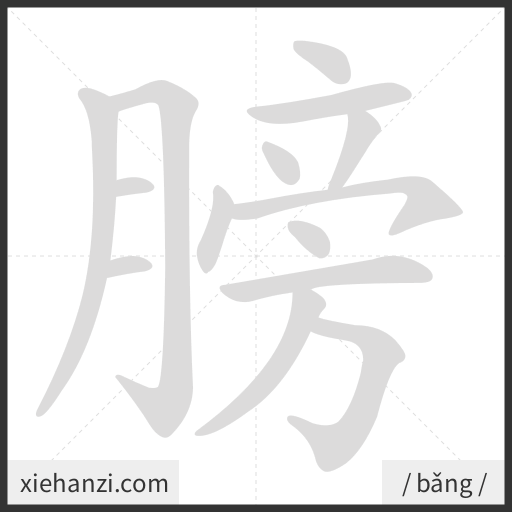 Ảnh động thứ tự nét chữ 膀 - cách viết từng nét