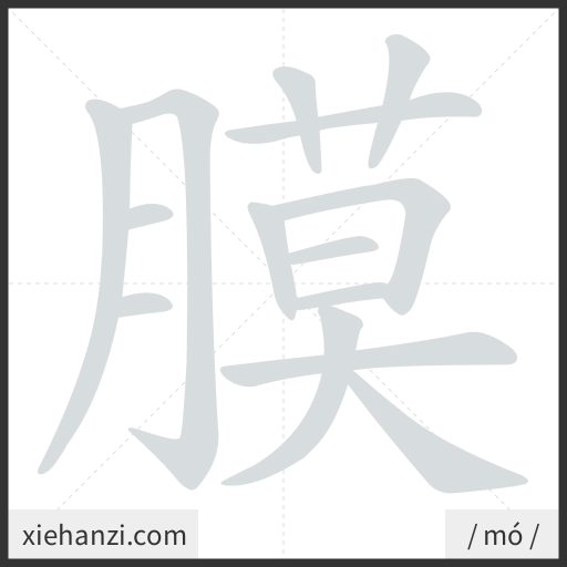 Ảnh động thứ tự nét chữ 膜 - cách viết từng nét