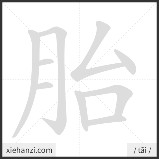Ảnh động thứ tự nét chữ 胎 - cách viết từng nét