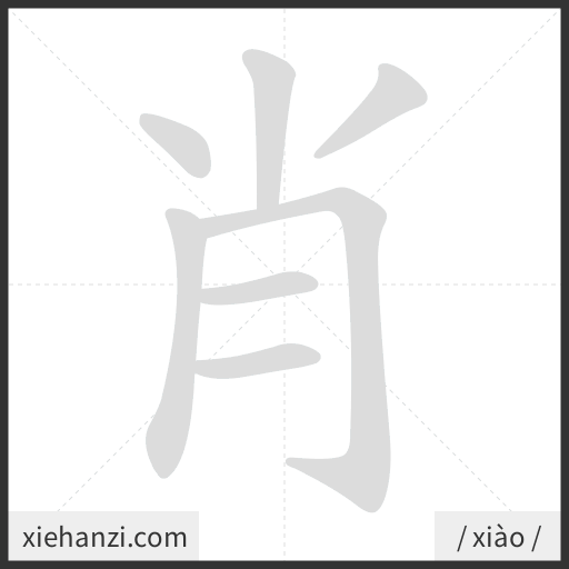 Ảnh động thứ tự nét chữ 肖 - cách viết từng nét