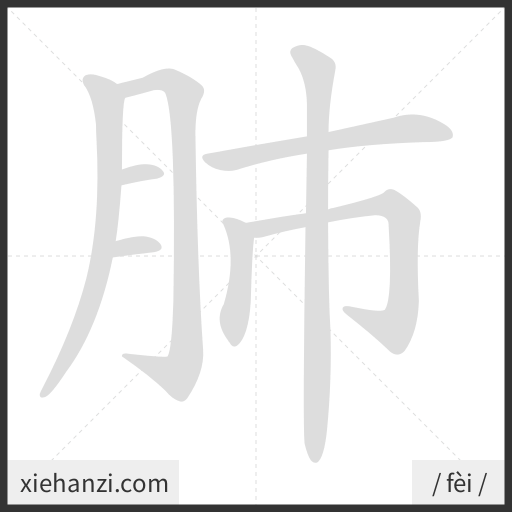 Ảnh động thứ tự nét chữ 肺 - cách viết từng nét