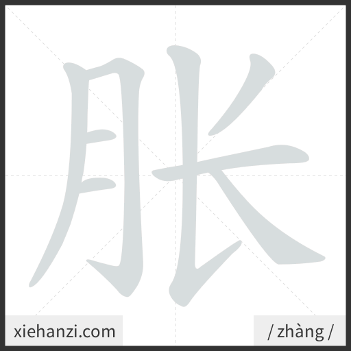 Ảnh động thứ tự nét chữ 胀 - cách viết từng nét
