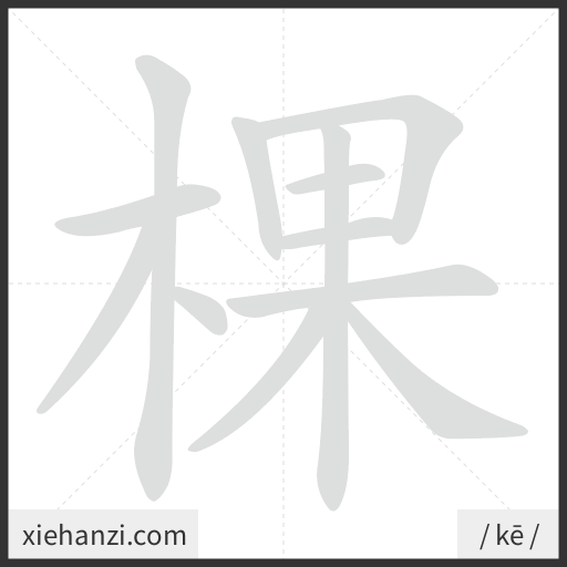 Ảnh động thứ tự nét chữ 棵 - cách viết từng nét