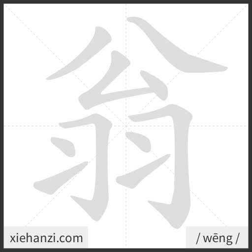 Ảnh động thứ tự nét chữ 翁 - cách viết từng nét