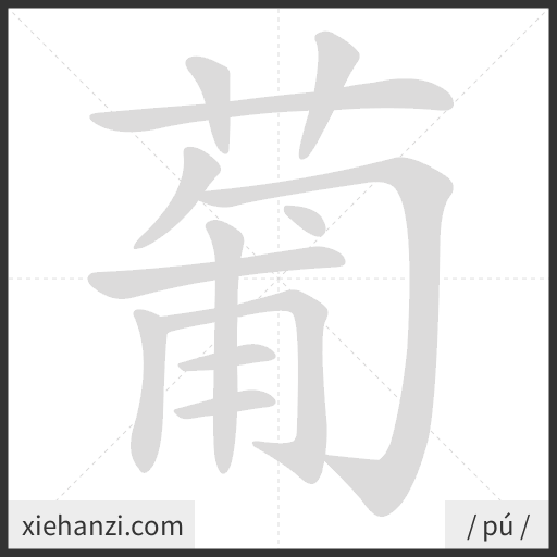 Ảnh động thứ tự nét chữ 葡 - cách viết từng nét