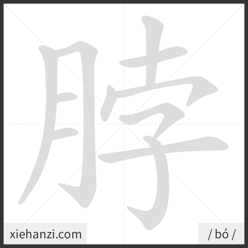 Ảnh động thứ tự nét chữ 脖 - cách viết từng nét