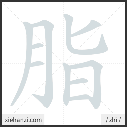 Ảnh động thứ tự nét chữ 脂 - cách viết từng nét