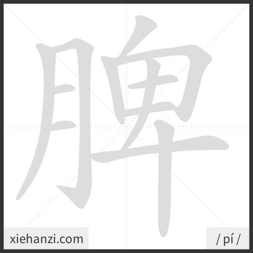 Ảnh động thứ tự nét chữ 脾 - cách viết từng nét