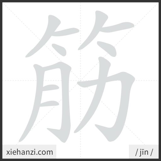Ảnh động thứ tự nét chữ 筋 - cách viết từng nét