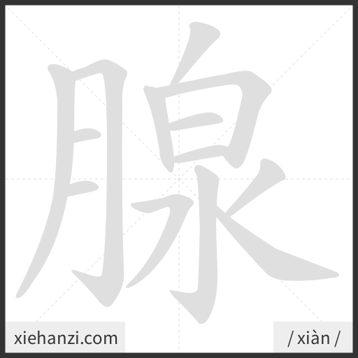 Ảnh động thứ tự nét chữ 腺 - cách viết từng nét