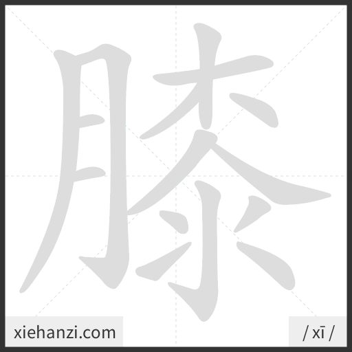 Ảnh động thứ tự nét chữ 膝 - cách viết từng nét