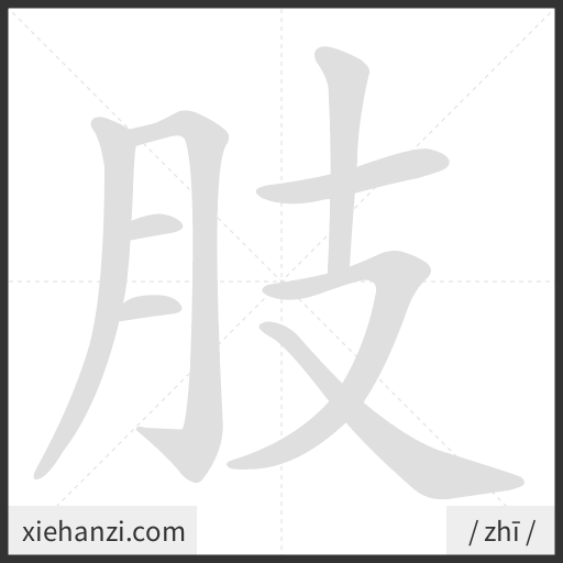Ảnh động thứ tự nét chữ 肢 - cách viết từng nét