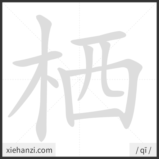 Ảnh động thứ tự nét chữ 栖 - cách viết từng nét