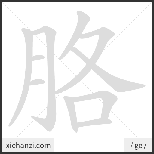Ảnh động thứ tự nét chữ 胳 - cách viết từng nét